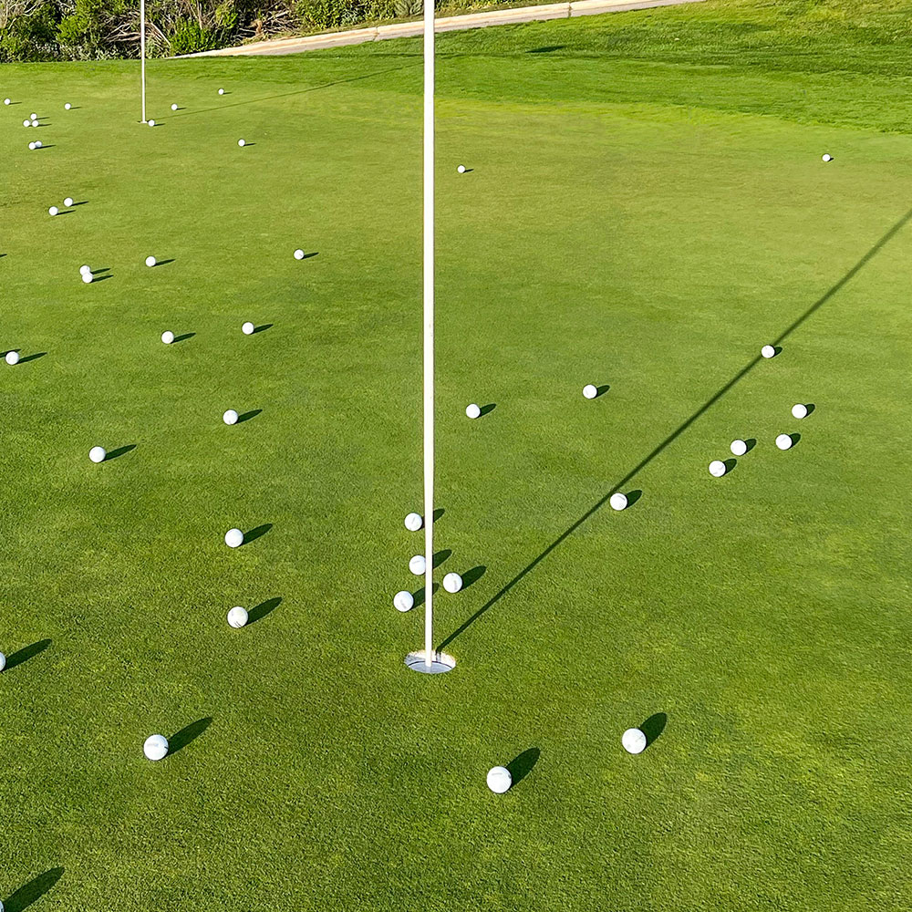 Golf Balls on Green